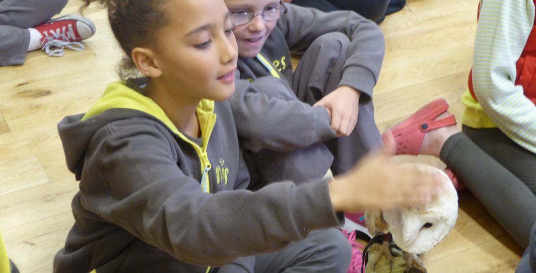 Hawkshead Brownies at Chester Zoo