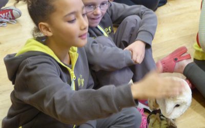 Hawkshead Brownies at Chester Zoo