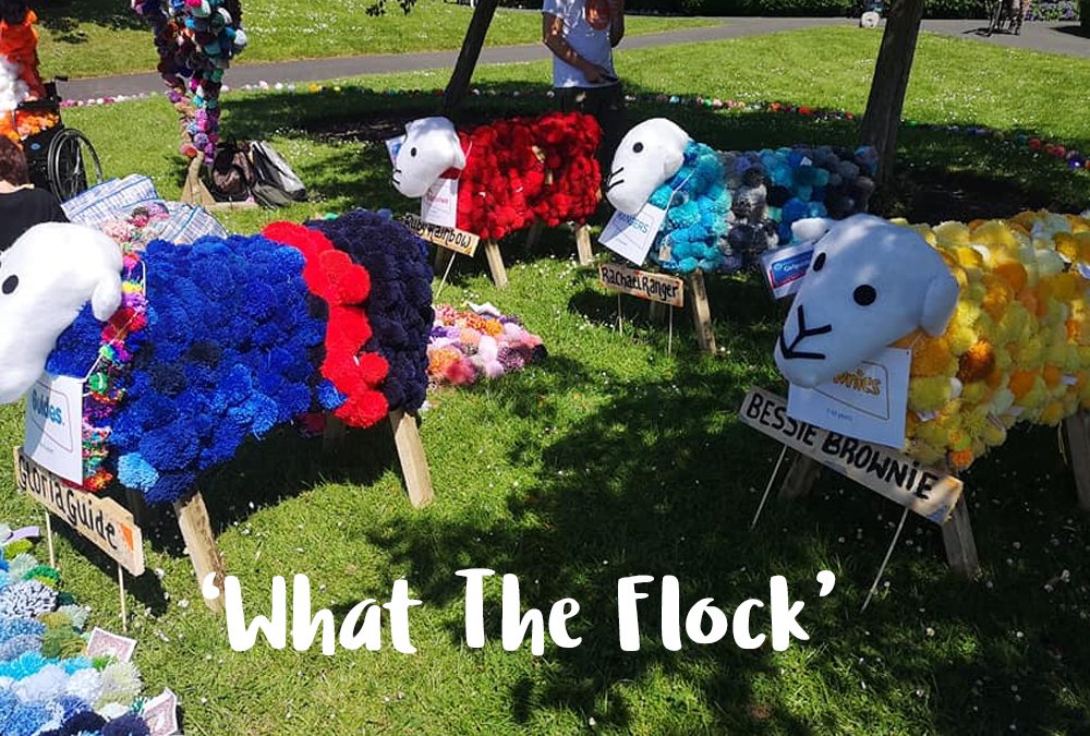 Pom Pom Tastic Guiding Sheep Attend Local Barrow Event