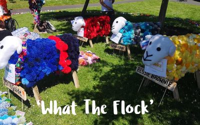 Pom Pom Tastic Guiding Sheep Attend Local Barrow Event