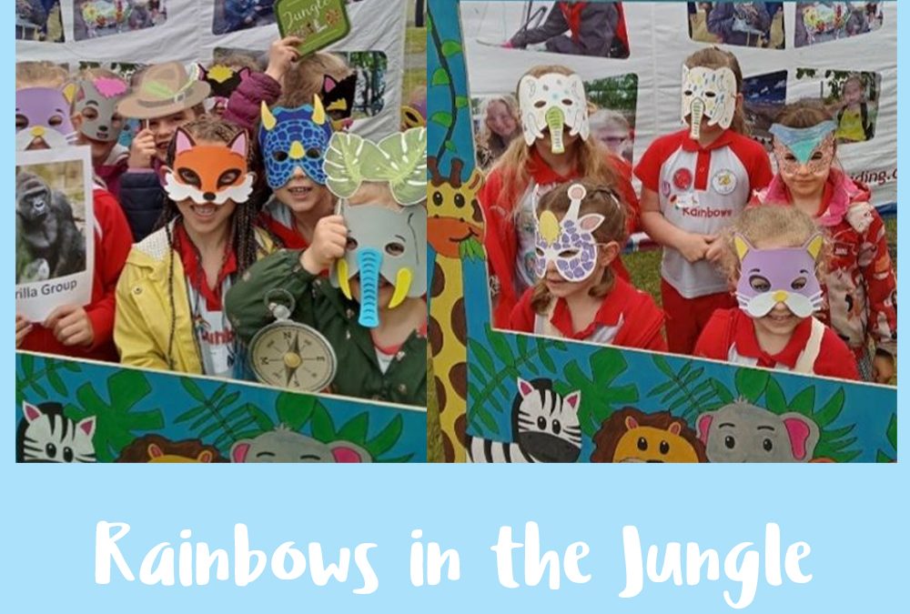 Rainbows in the Jungle