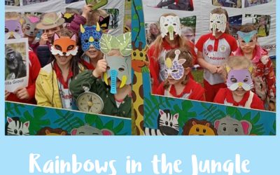 Rainbows in the Jungle