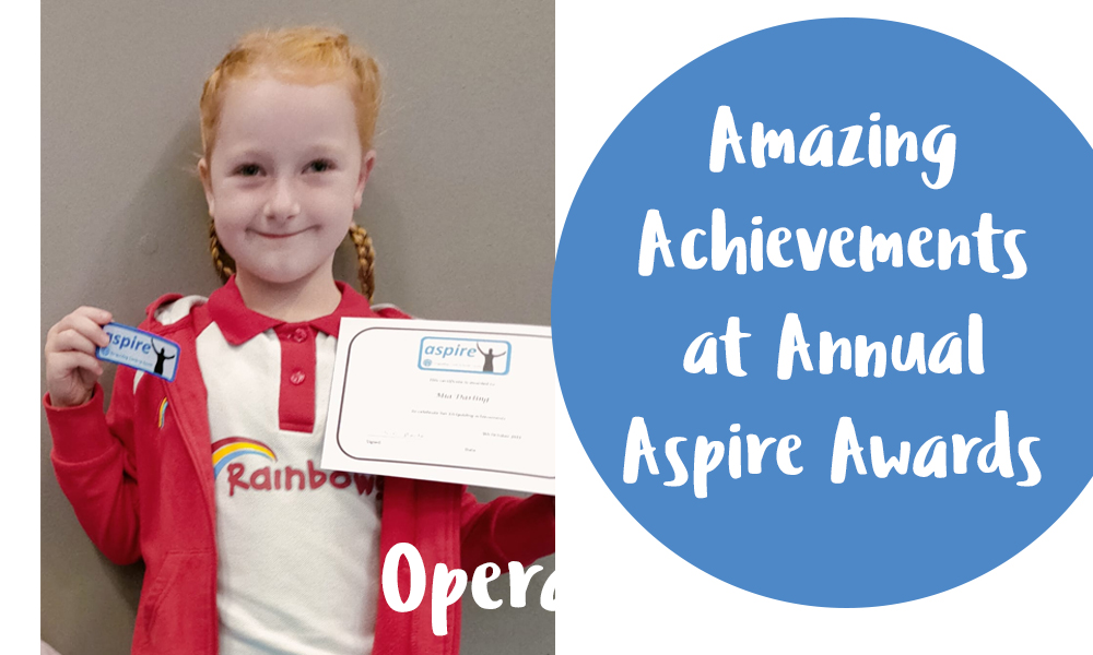 Annual Aspire Event is Full of Joy for Girlguides Across South Cumbria