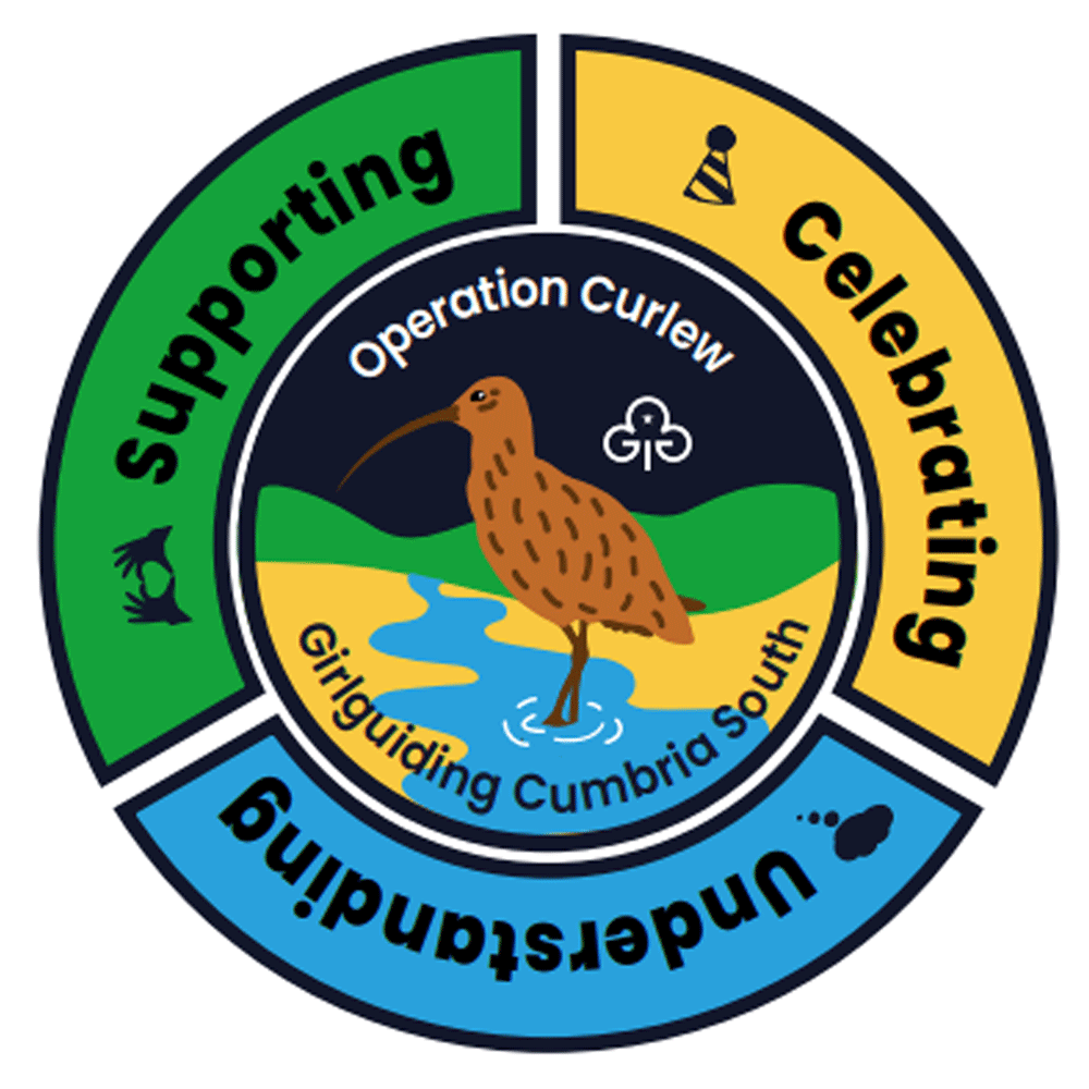 Operation-Curlew-Badge-Image Operation Curlew Badge